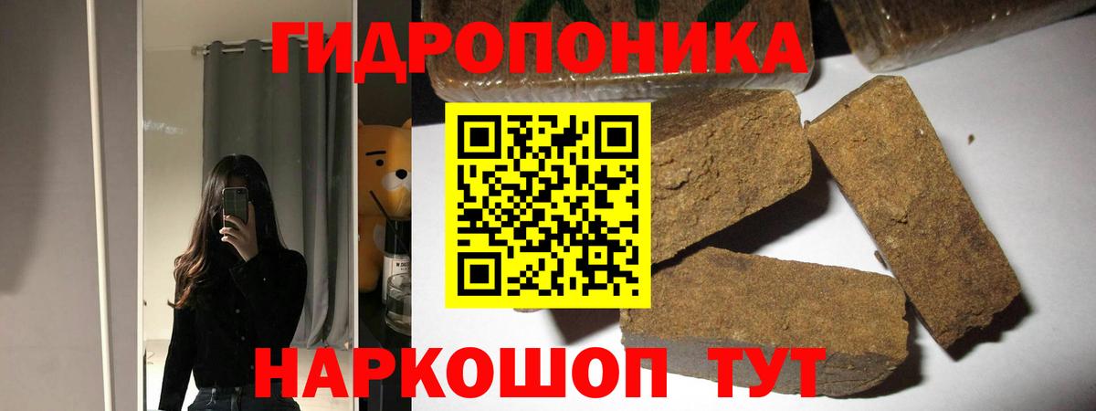 Конопля сатива Фролово